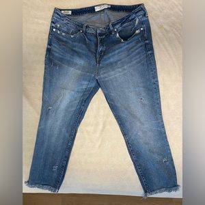 Torrid jeans